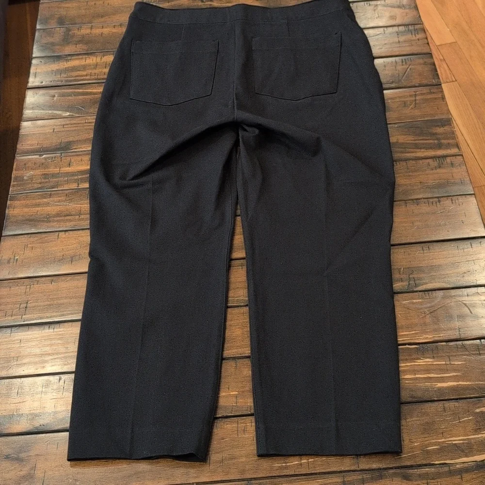 Spanx Ankle Slim Pull On Pants